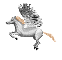 Animali - Cavalli (1)