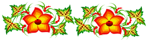 xPiJPo4
