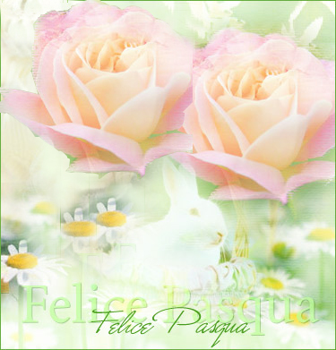 rose con auguri