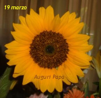 girasole-auguri-festa-del-pap%C3%A0